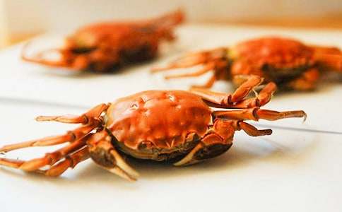 �^���з������(12ƪ)