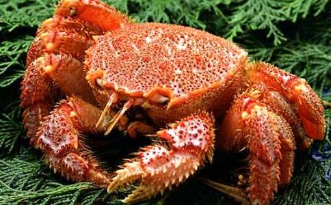 捉螃蟹-敘事作文600字_五年級(jí)寫事作文