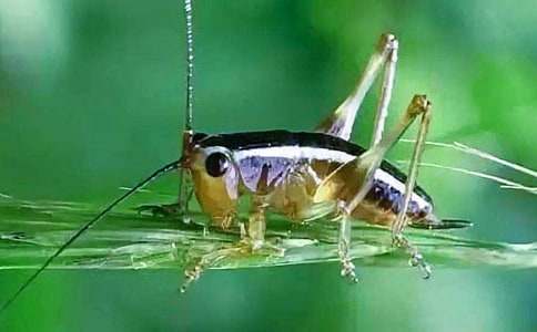 �����סլ����һ�n�r(sh��)�̰��O(sh��)Ӌ(j��)