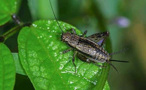 ������400�֣����x57ƪ��