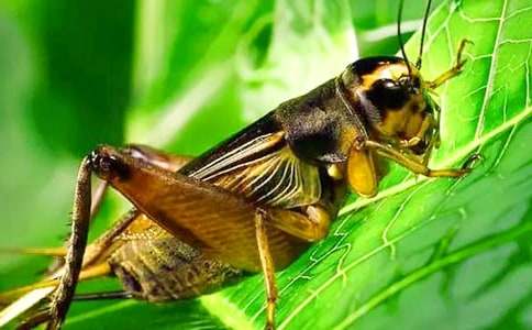 ���סլ�n�ķ����̌W(xu��)�O(sh��)Ӌ(j��)�����x16ƪ��