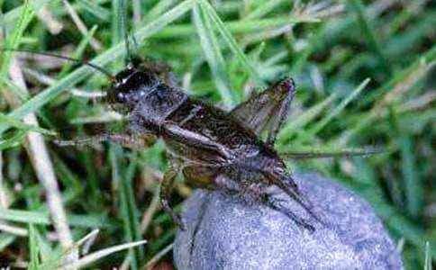 �P(gu��n)�ڡ����סլ���Ľ̰�