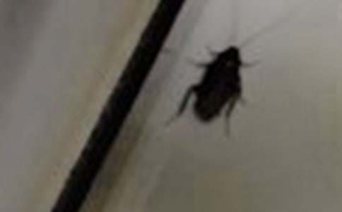 ���С�W(xu��)����450��