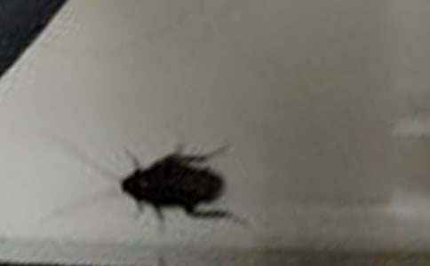 �������С�W(xu��)����