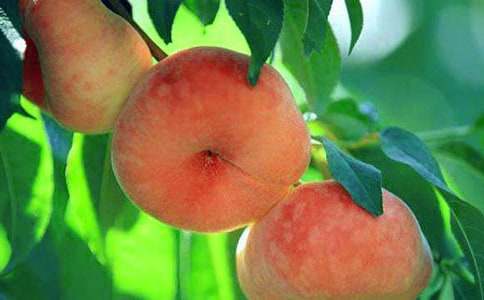 ҹ����ҕ�(hu��)��(y��u)������