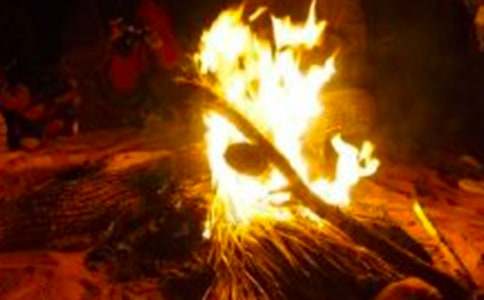 2017�����������