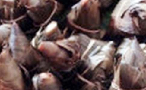 �����T(m��n)��������С�W(xu��)����