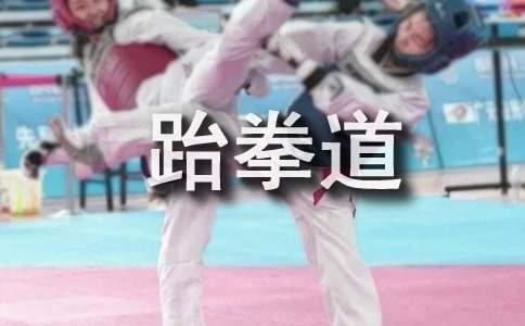 少兒跆拳道教學(xué)教案