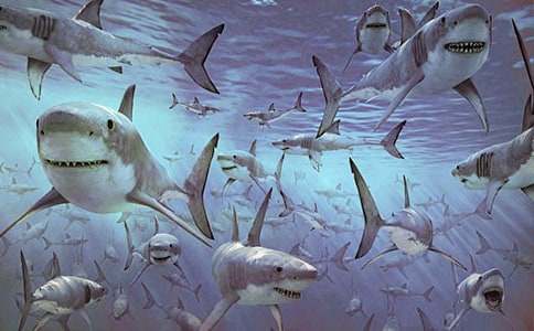 ���~����35ƪ