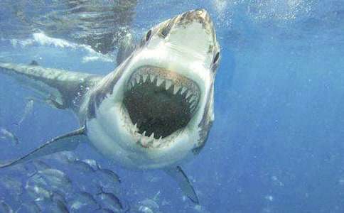 ���~��(chu��ng)������E����