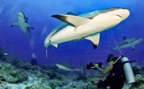 ���o(h��)���~�����}������