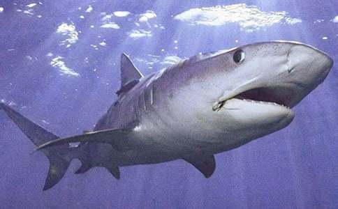 ���o���~����300��