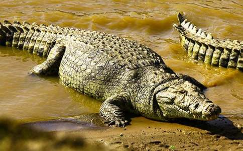 �P(gu��n)���{�~��С�W������