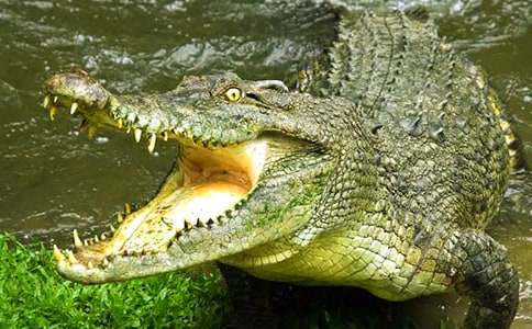 �{�~���ۜIͯԒ����