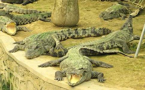 �{�~(y��)�o(h��)�ݵ�ͯԒ����