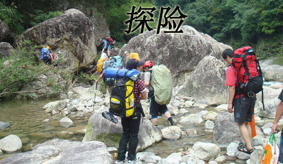 【熱】森林探險(xiǎn)作文