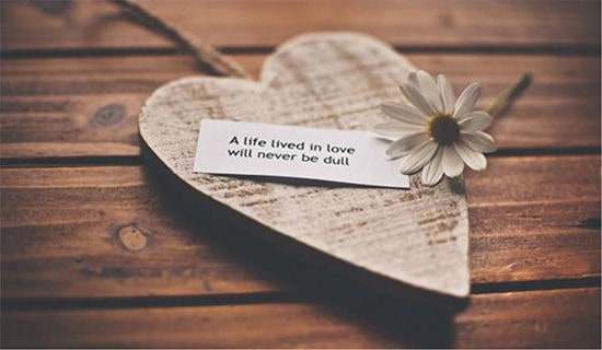 ���Ѹ�������D(zhu��n)�ơ����~