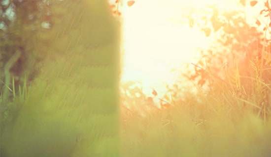 Ψ����Ӣ�Ķ��Z�R��