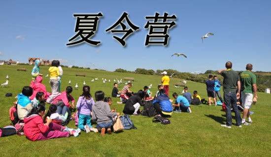 2018�걱����W(xu��)�����W(xu��)Ժ��������I֪ͨ