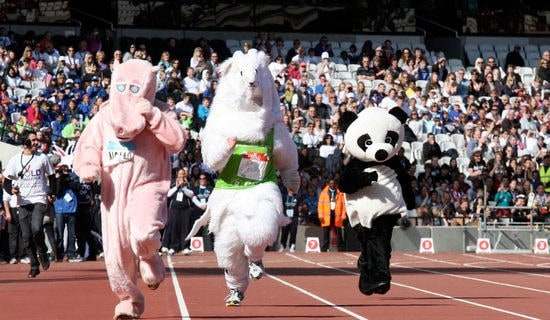 2017�＾�\�ӕ�����800��